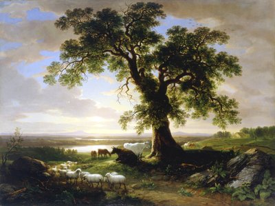 O carvalho solitário O carvalho velho, 1844 de Asher Brown Durand